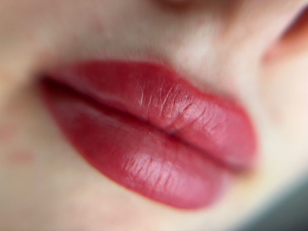 Lippigmenatie